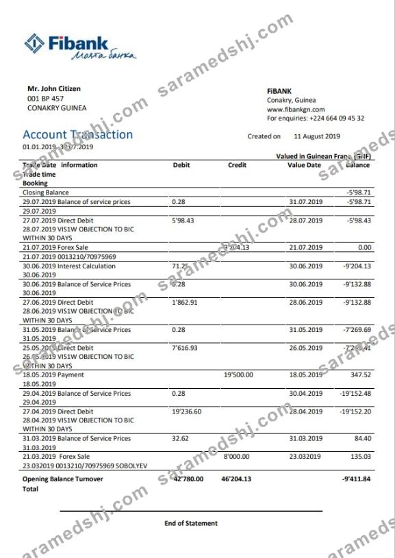Guinea Fibank bank statement